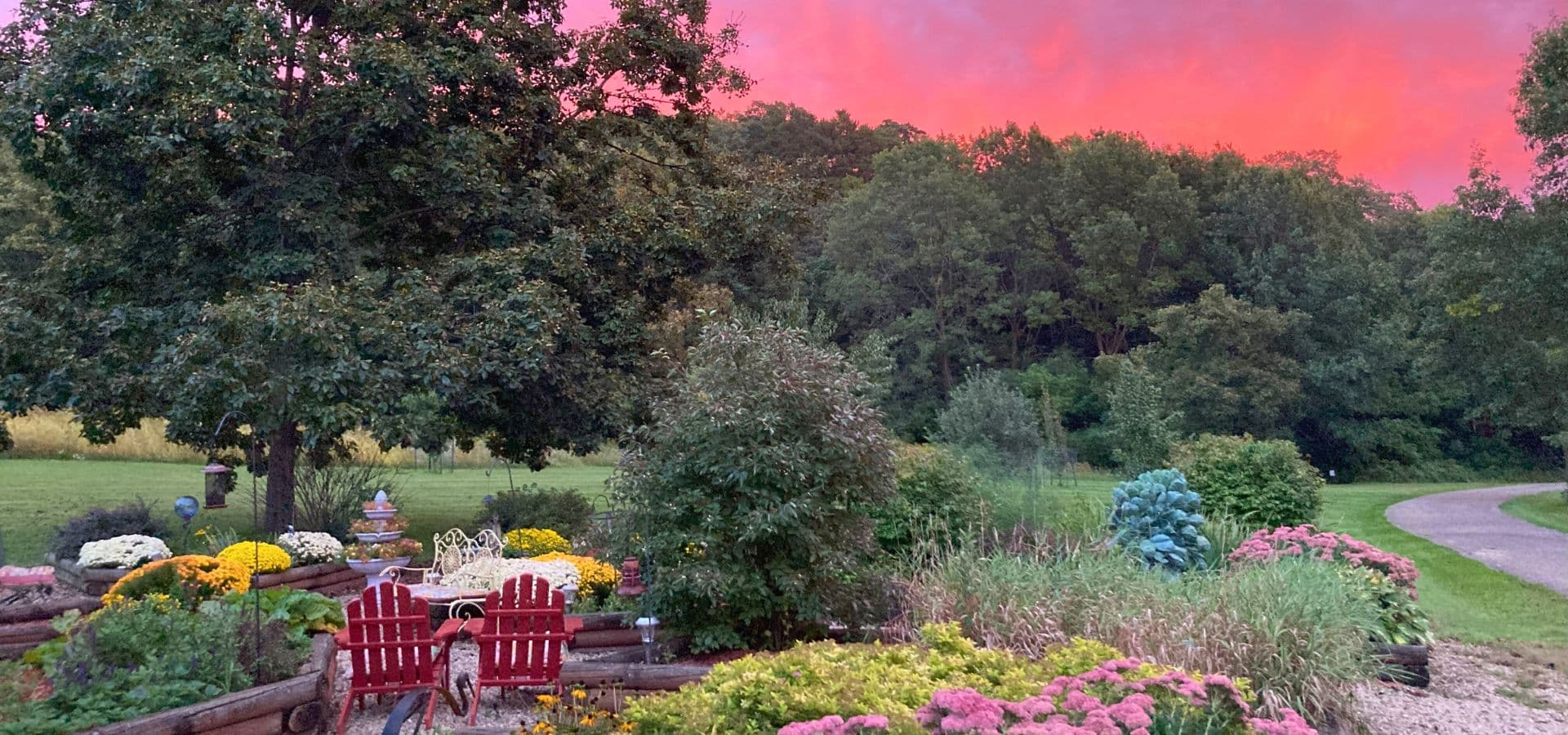 A vibrant garden filled with flowers and greenery under a pink and purple sky at sunset.